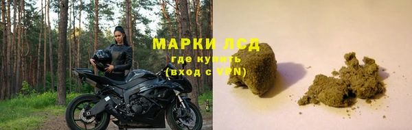 хмурый Хадыженск