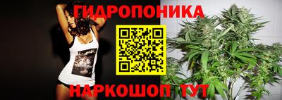 прущие крисы Апшеронск