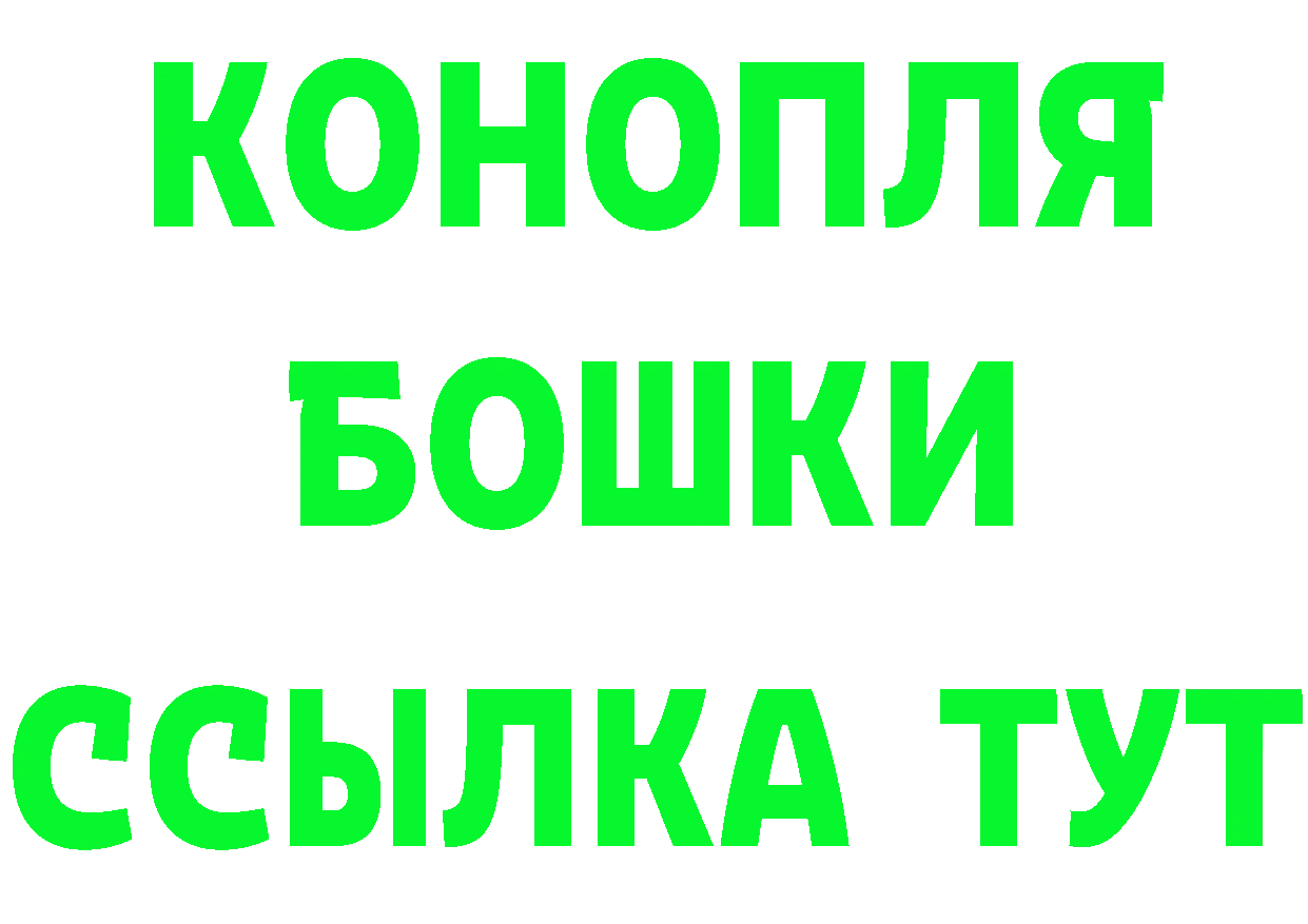 Каннабис план ССЫЛКА shop МЕГА Владикавказ