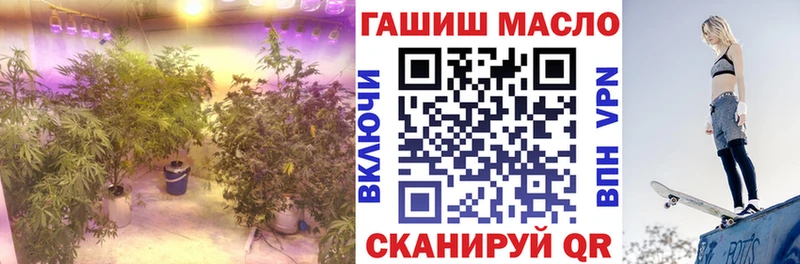 ТГК гашишное масло  наркота  Владикавказ 