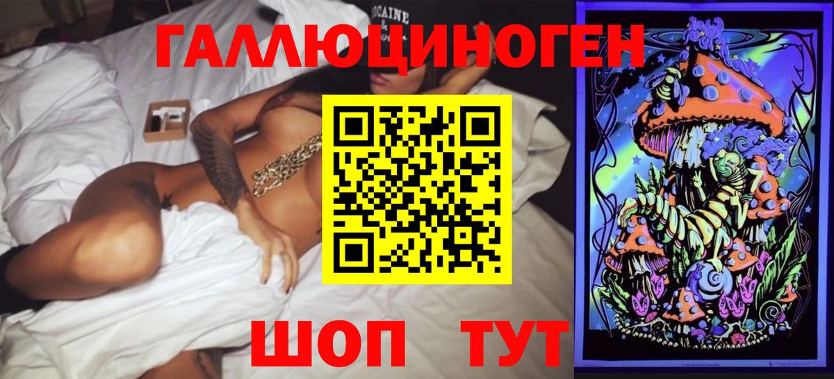 Галлюциногенные грибы Cubensis  Галлюциногенные грибы прущие грибы  Владикавказ 