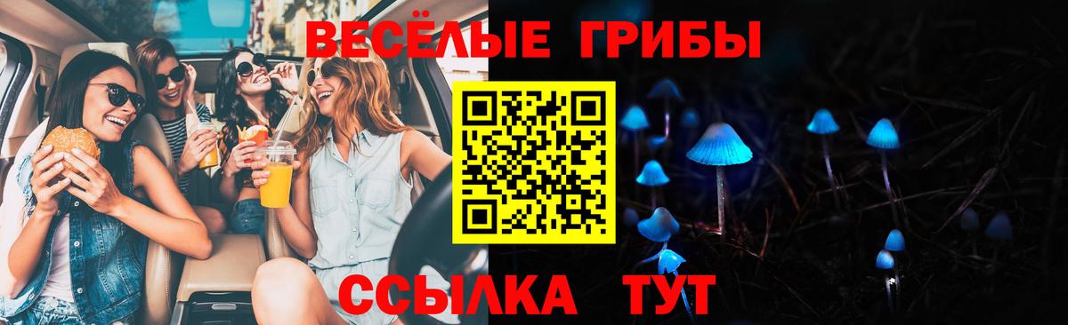 Галлюциногенные грибы мицелий  Вход с VPN  Владикавказ  Галлюциногенные грибы MAGIC MUSHROOMS 