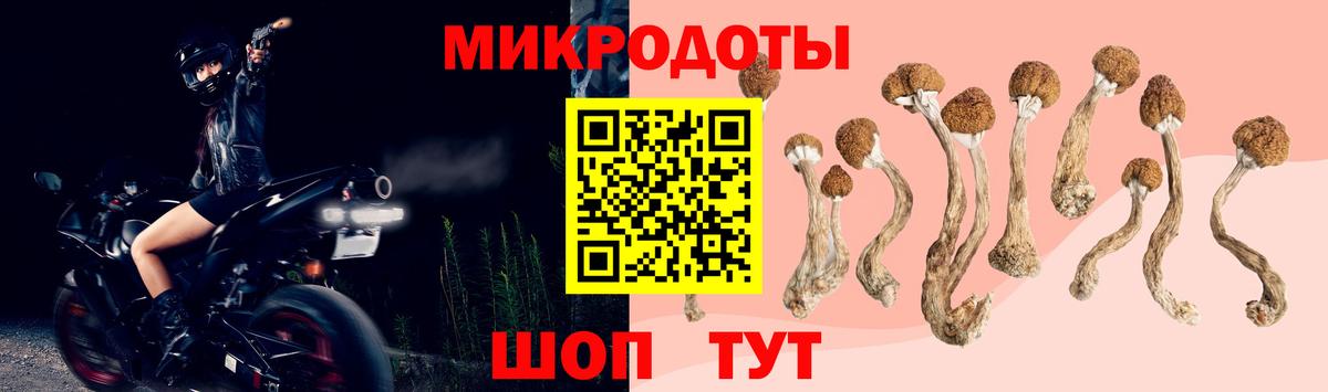 Псилоцибиновые грибы прущие грибы Владикавказ