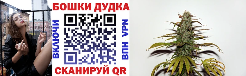 МАРИХУАНА планчик  наркота  гидра ссылка  Владикавказ 